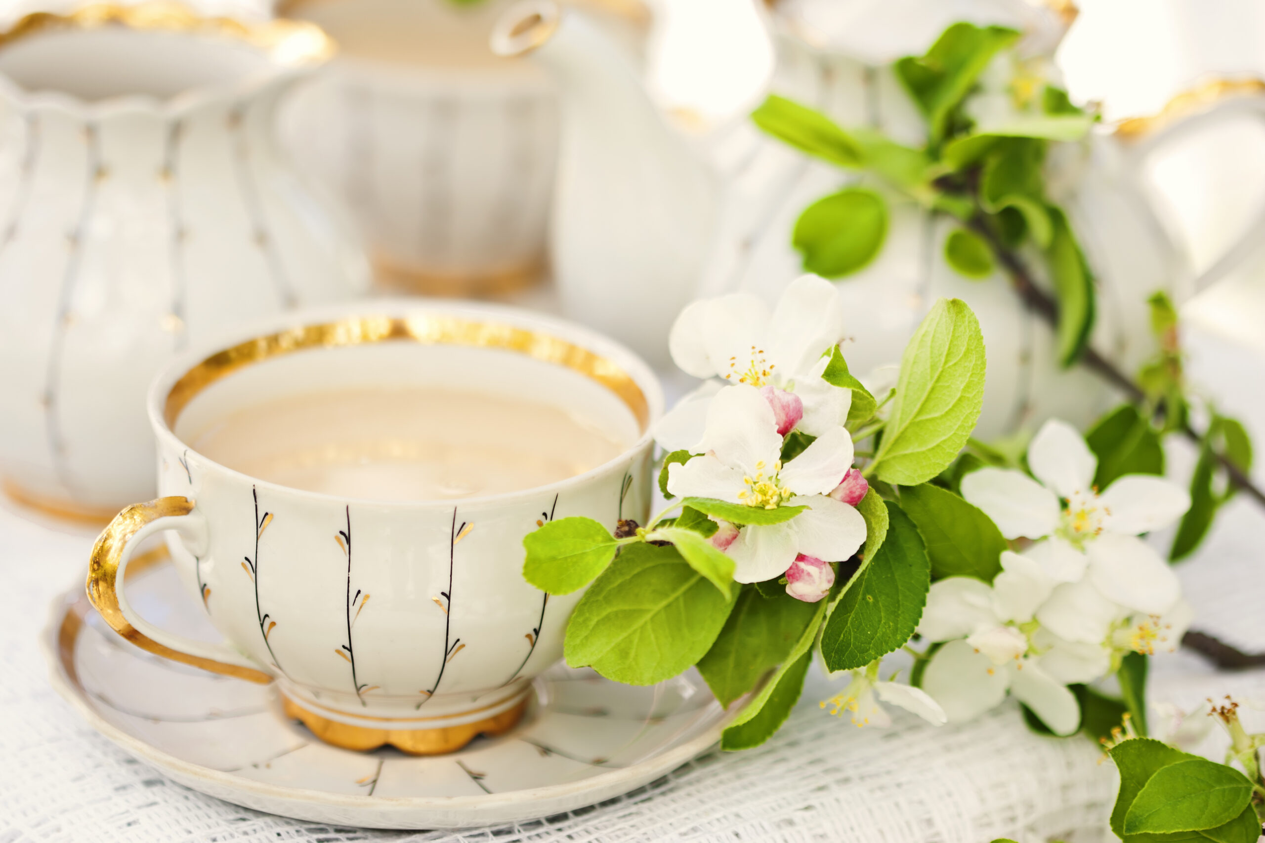 VANILLA TEA MILK